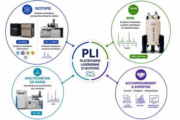 PLI